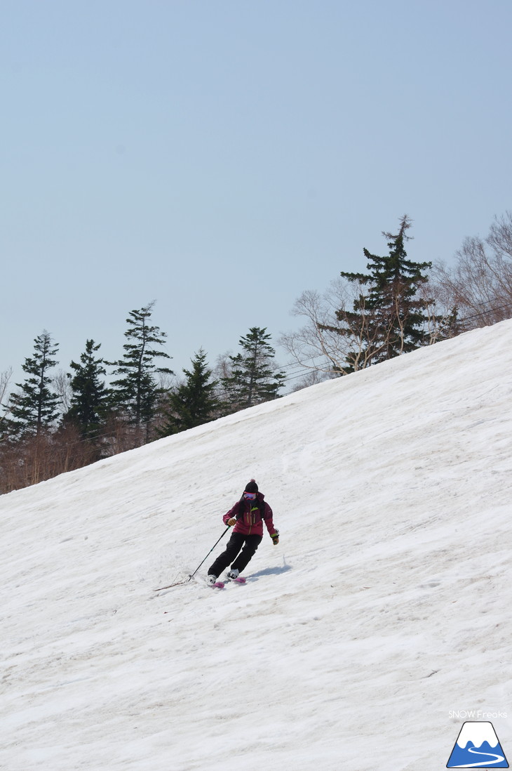 サッポロテイネ 現在積雪 215cm。山麓まで思いっきり滑れます！